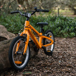 Stylish 16 inch kids bike propped against a log on a mountain bike trail
