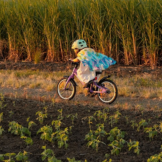Child riding a bicycle in a field with tall grass and an Australian sunset in the background