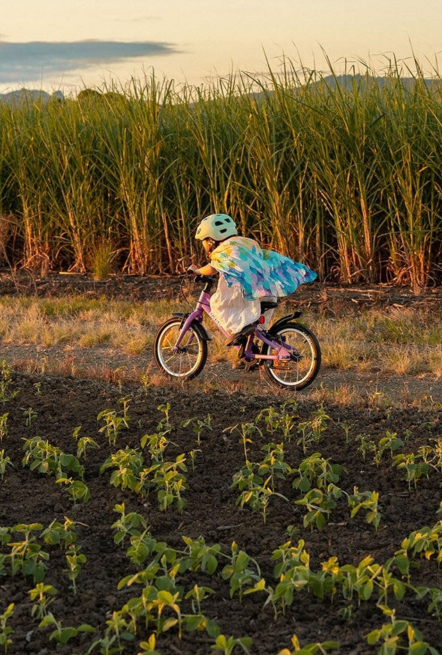 Child riding a bicycle in a field with tall grass and an Australian sunset in the background