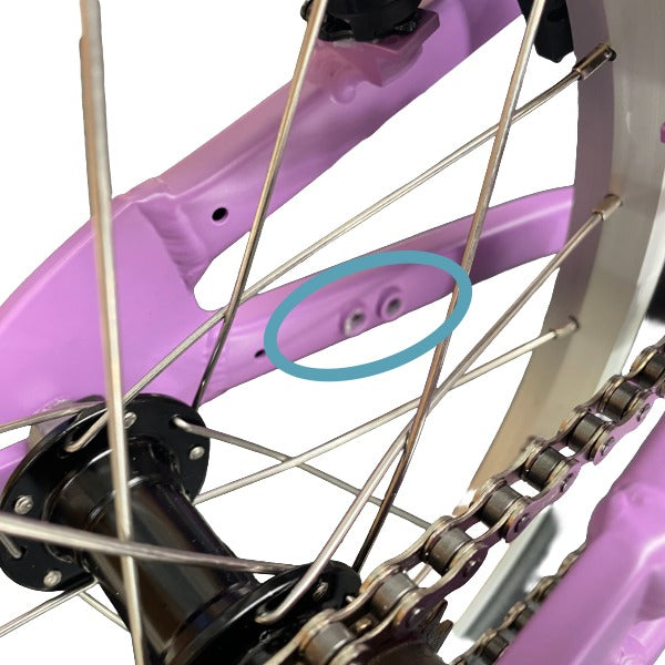 Close-up of a bicycle wheel showing the rear spokes, hub, chain, and a purple frame section with a blue oval highlighting two small mounting holes.