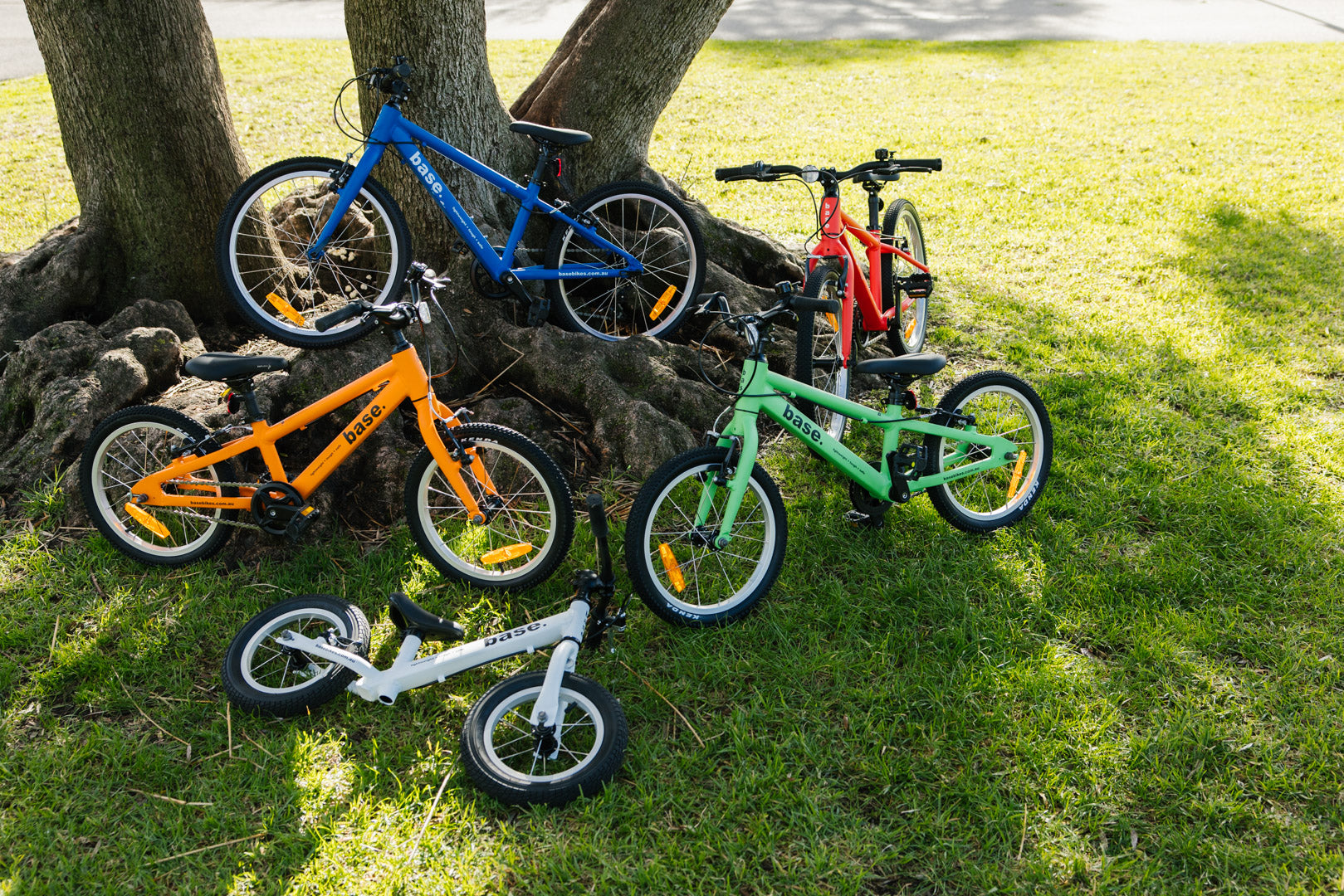 A bunch of kids bikes sprawled on a lawn area under a tree